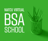 Virtual BSA School