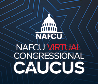 Virtual Congressional Caucus